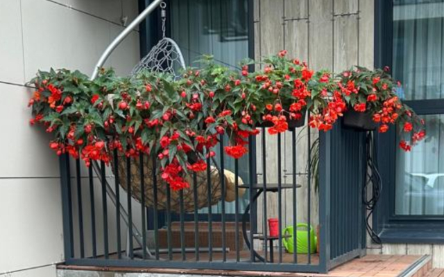 Okhta Park Lyuks Rezort s saunoy i kaminom Apartments