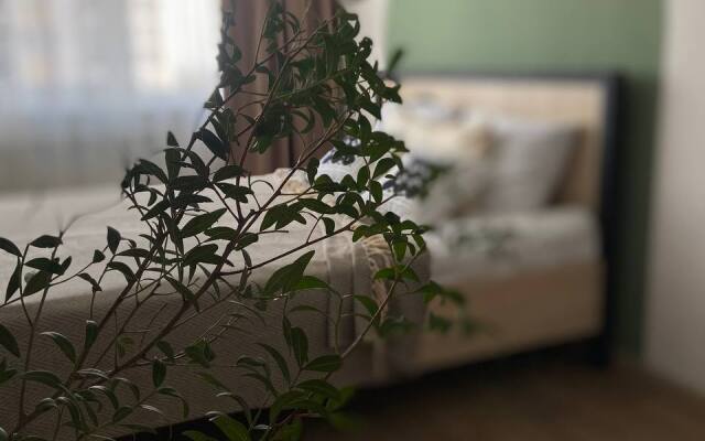 S Vidom Ptich'ego Poleta Apartments