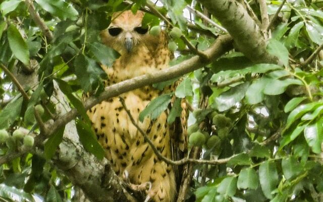 Шале The Hidden Valley