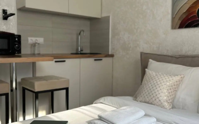 Studiya V Tsentre Goroda U Aeroporta Apartments