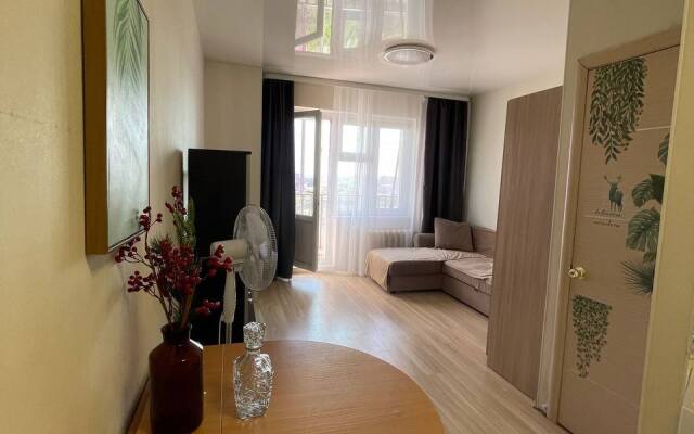 Studiya ryadom so Stolichnym rynkom g. Yakutska Flat