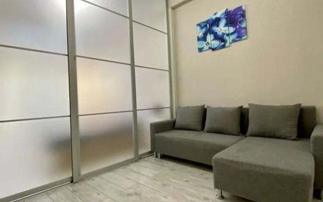 Квартира на Крымской 89 (729)