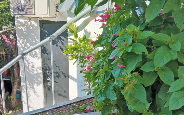 Studiya S Dvorikom V Plyazhnoy Zone Flat