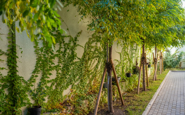 Garden Boutique Hotel