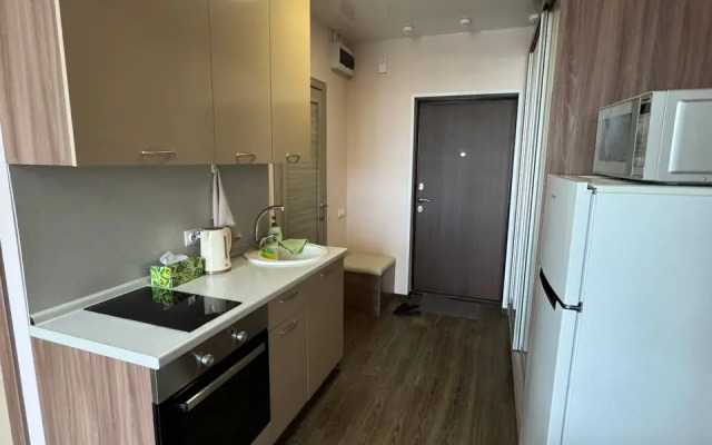 Studiya V Novom Dome Flat
