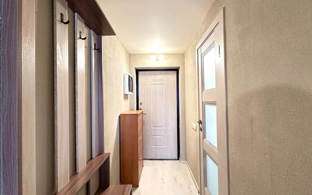 Dvukhurovnevye 49 M2 Apartments