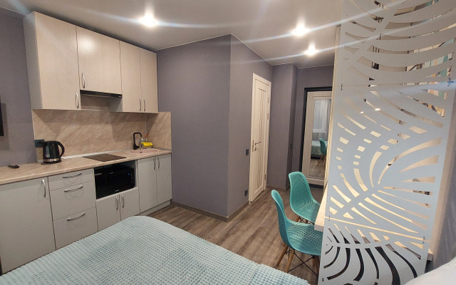 Апартаменты СВ Жираф студия 2