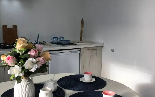 V Tsentre Kaliningrada Flat