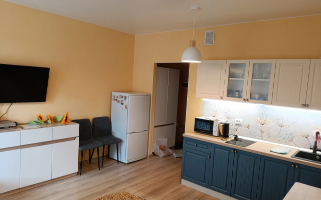 Studiya Na Planernoy Flat