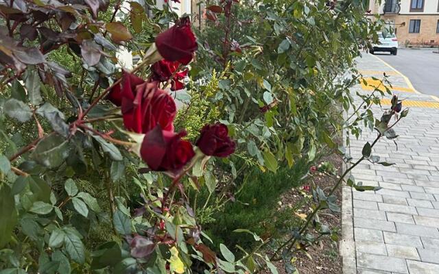 Квартира ЖК Евпатория квартира175