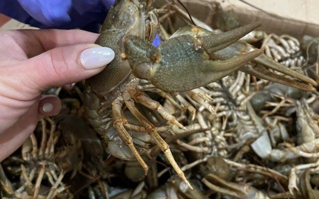 Гостевой дом Сушите весла