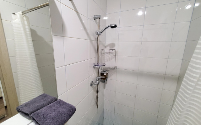 Апартаменты Светлая студия в Петроградской части города