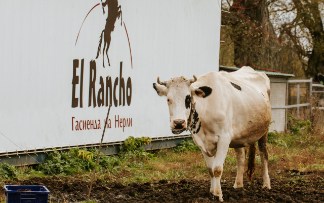 Agroturisticheskij Kompleks El Rancho Hotel