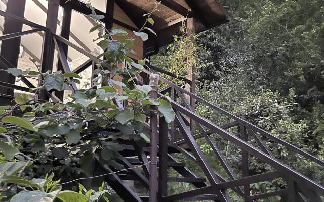ShaleSoVa Chalet