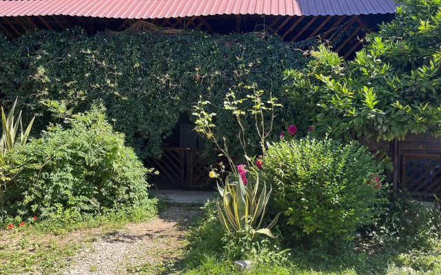 Karolina Guest house