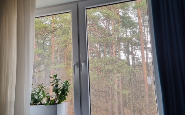 Квартира Уютный уголок около лесного озера