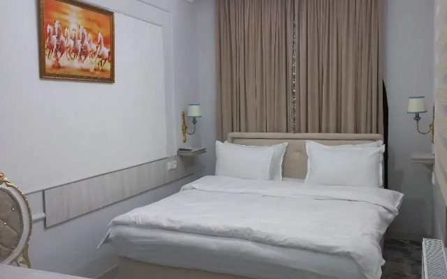 Hotel Sherdor Registan