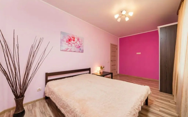 V Tsentre Goroda Flat
