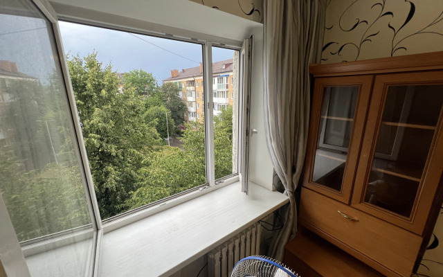 V Tsentre Goroda Flat