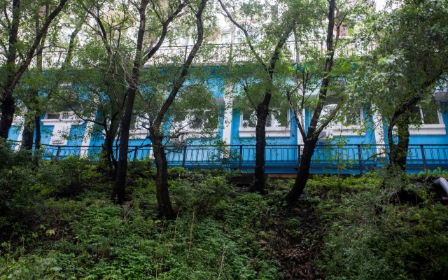 Tiger Hostel
