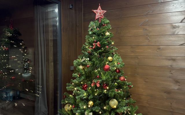 Апартаменты NS house