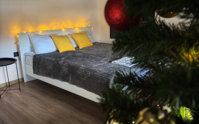 Апартаменты Дом Искусств