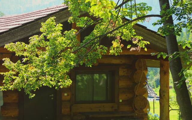 Usadba Sokol Guest house