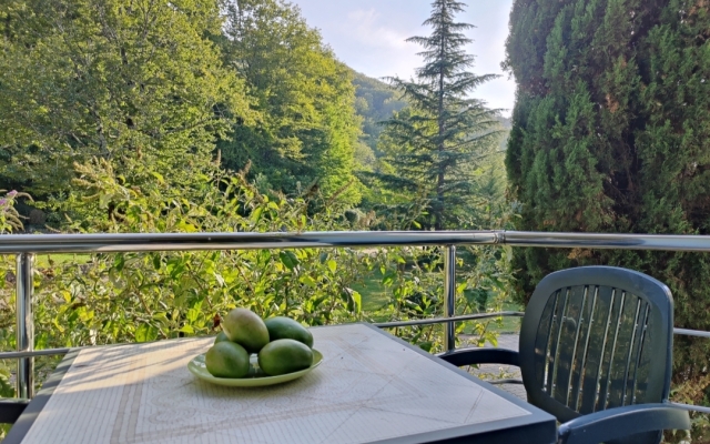 Апартаменты Клуб Агой 7