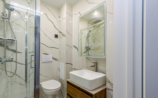 Uyutnaya Sovremennaya Studiya U Tsirka Flat