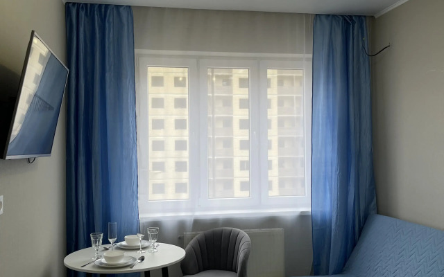 Sovremennaya na Petra Metalnikova Flat