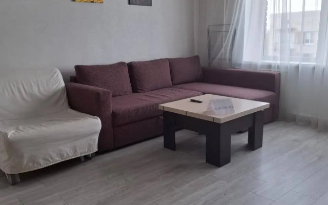 Квартира в Центре Для Большой Компании