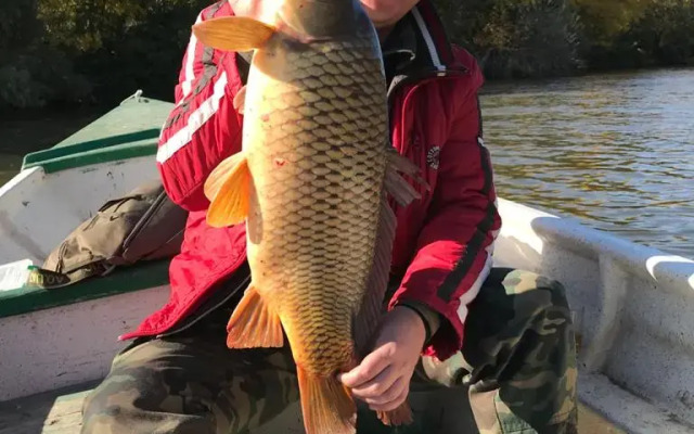 База отдыха Замок