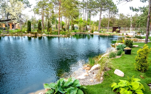 Отель Vital Park