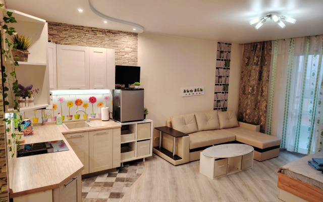 Uyutnaya Studiya V Zhukovskom Flat