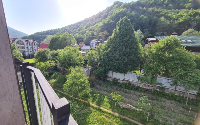 Kvartira S Kaminom Apartments