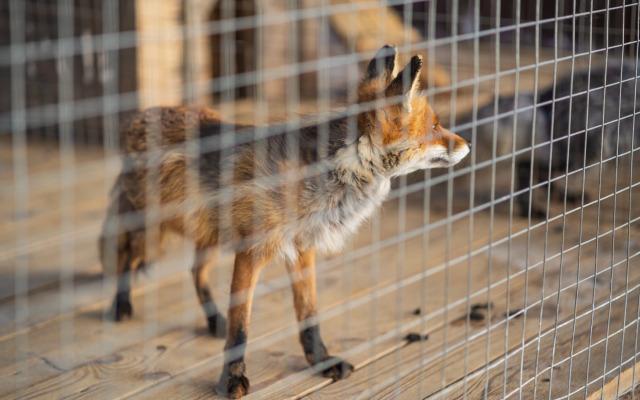 Отель Комплекc Загородного отдыха  Место 7