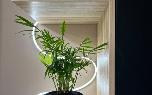 Квартира Студия Terakot