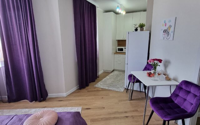 Uyutny Dom 210 Apartments