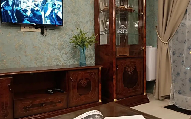Uyutnaya dvukhkomnatnaya s konditsionerom Ermitazh Flat