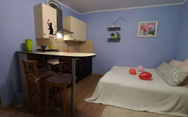 Na Chervishevskom Trakte 45 Flat