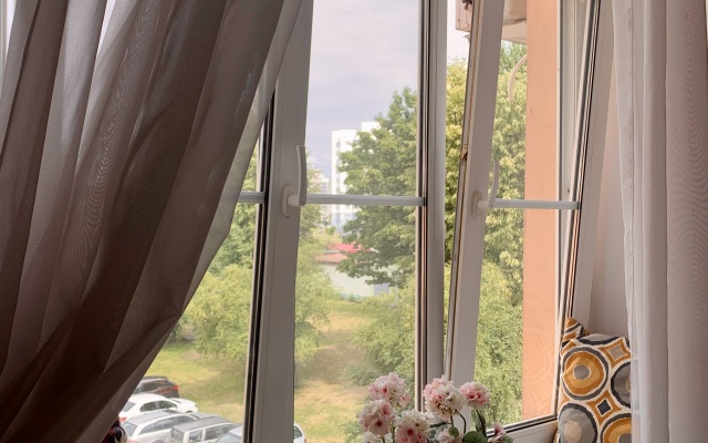 V Tsentre na prospekte Apartments