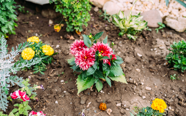 Гостевой дом Камменка