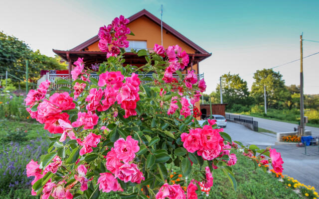 Апартаменты Dimac Topusko