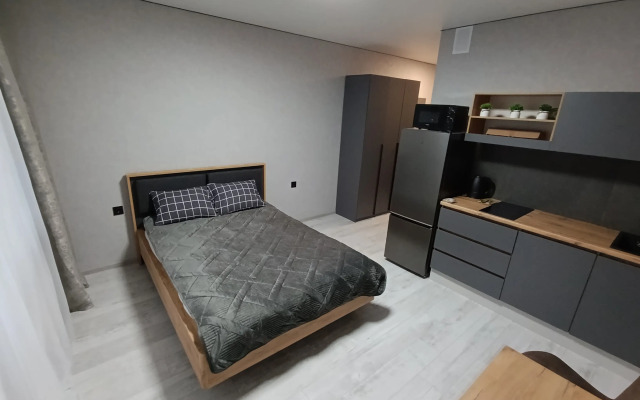 Квартира Студия у Парка Галицкого