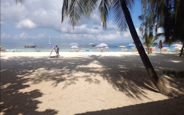 Бунгало Spice sea beach house & restaurant