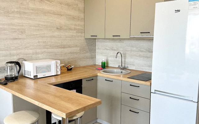 Na Piskunova Flat