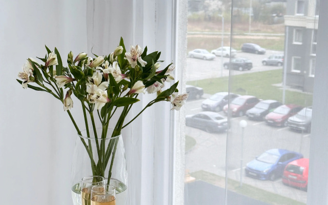 Svetlye u Litovskogo Vala Flat