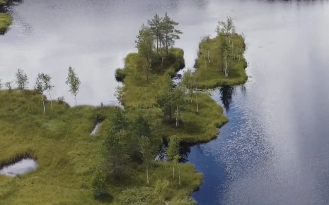 Частный дом с сауной и камином вблизи заповедного озера