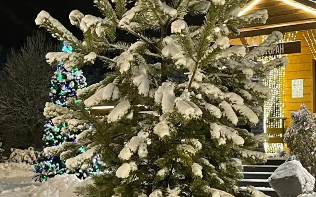 База отдыха Загородный клуб Золотые караси