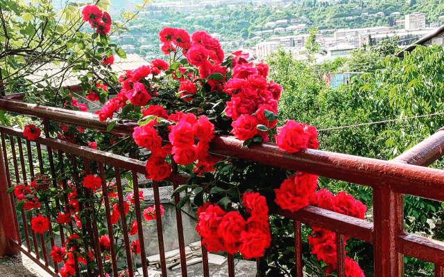 Guesthouse Anahit Ijevan Guest House